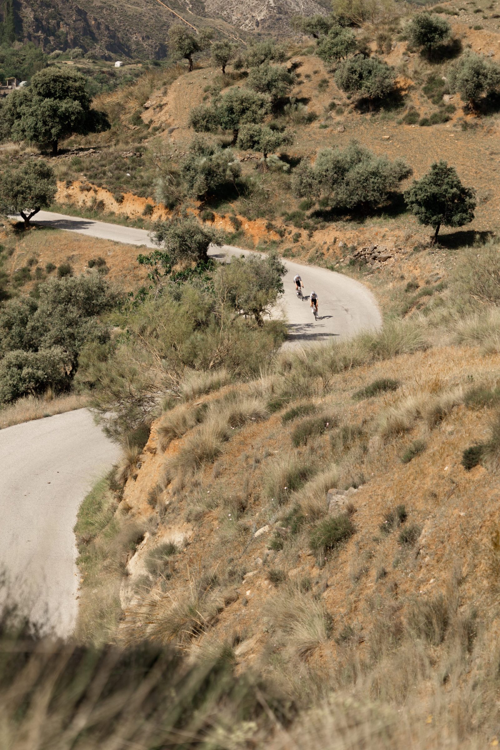UAE Team Emirates-XRG will race the Tour de France in a limited-edition jersey
