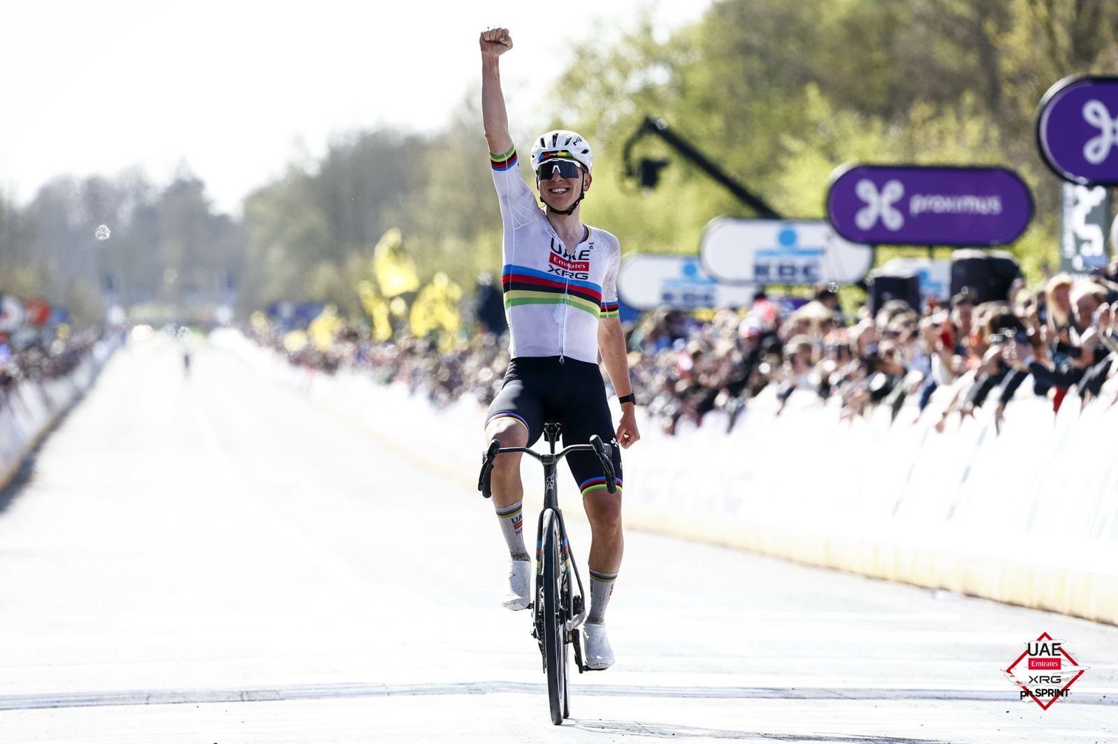 Tadej Pogačar celebrates his third Ronde van Vlaanderen success